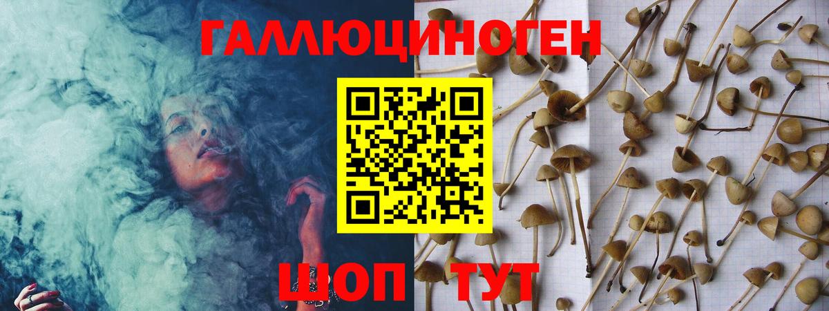 Новый Уренгой  Галлюциногенные грибы GOLDEN TEACHER  Вход с VPN 