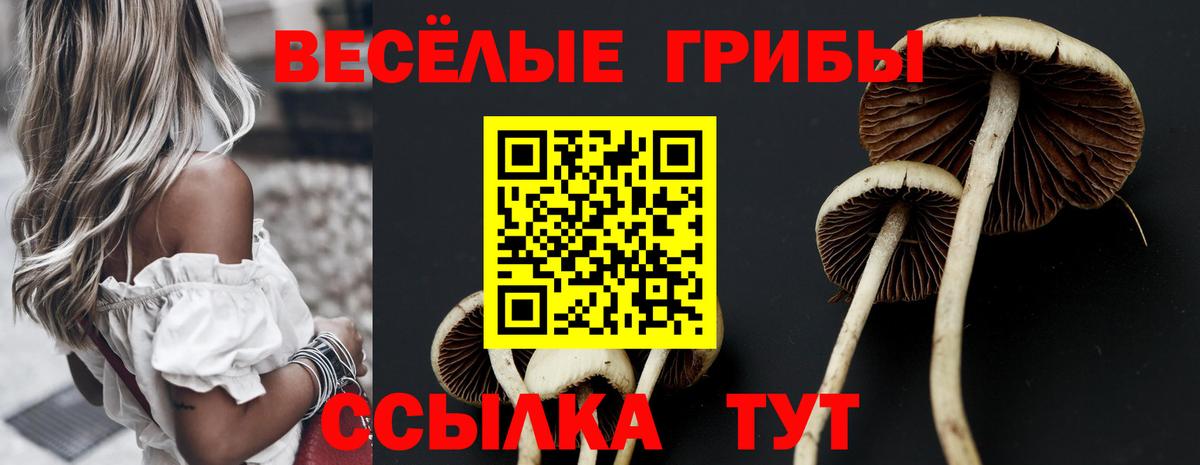 Галлюциногенные грибы Psilocybine cubensis Новый Уренгой